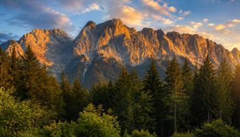 Bilder Galerie 1